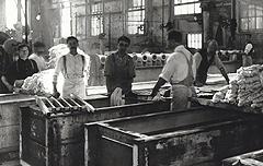 1913 Silk Strike United Diverse Workforce's image